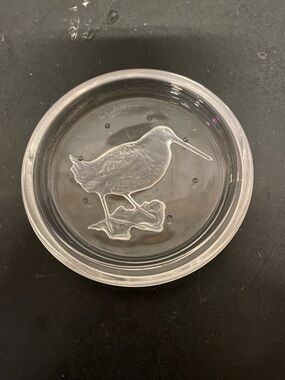 Vintage Crystal Coaster From Val Saint Lambert, Engraved With design of bird